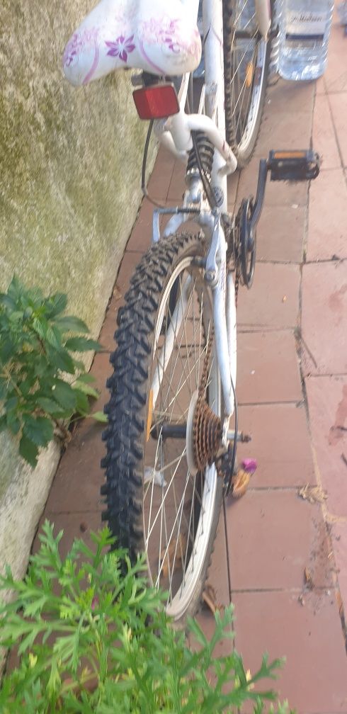 Bicicletas cross