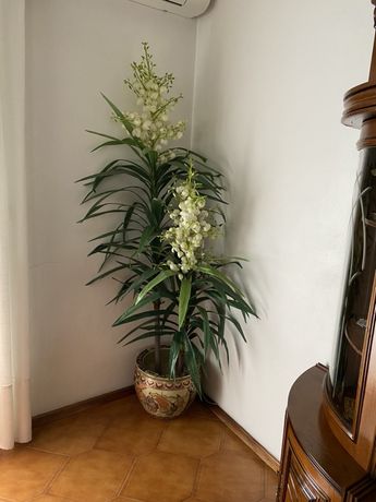 Vaso decorativo sem planta