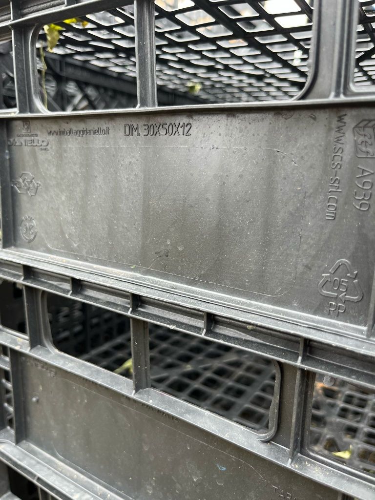 Skrzynki plastikowe po rzodkiewce  50x30x14cm 10000 sztuk