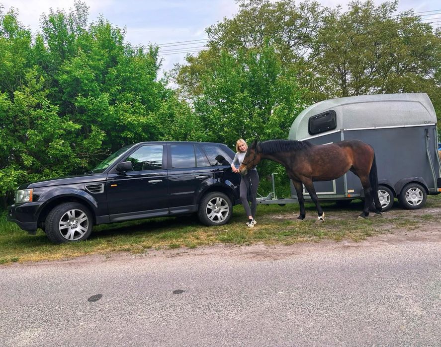 Transport koni bliska lokalizacja kliniki w Buku