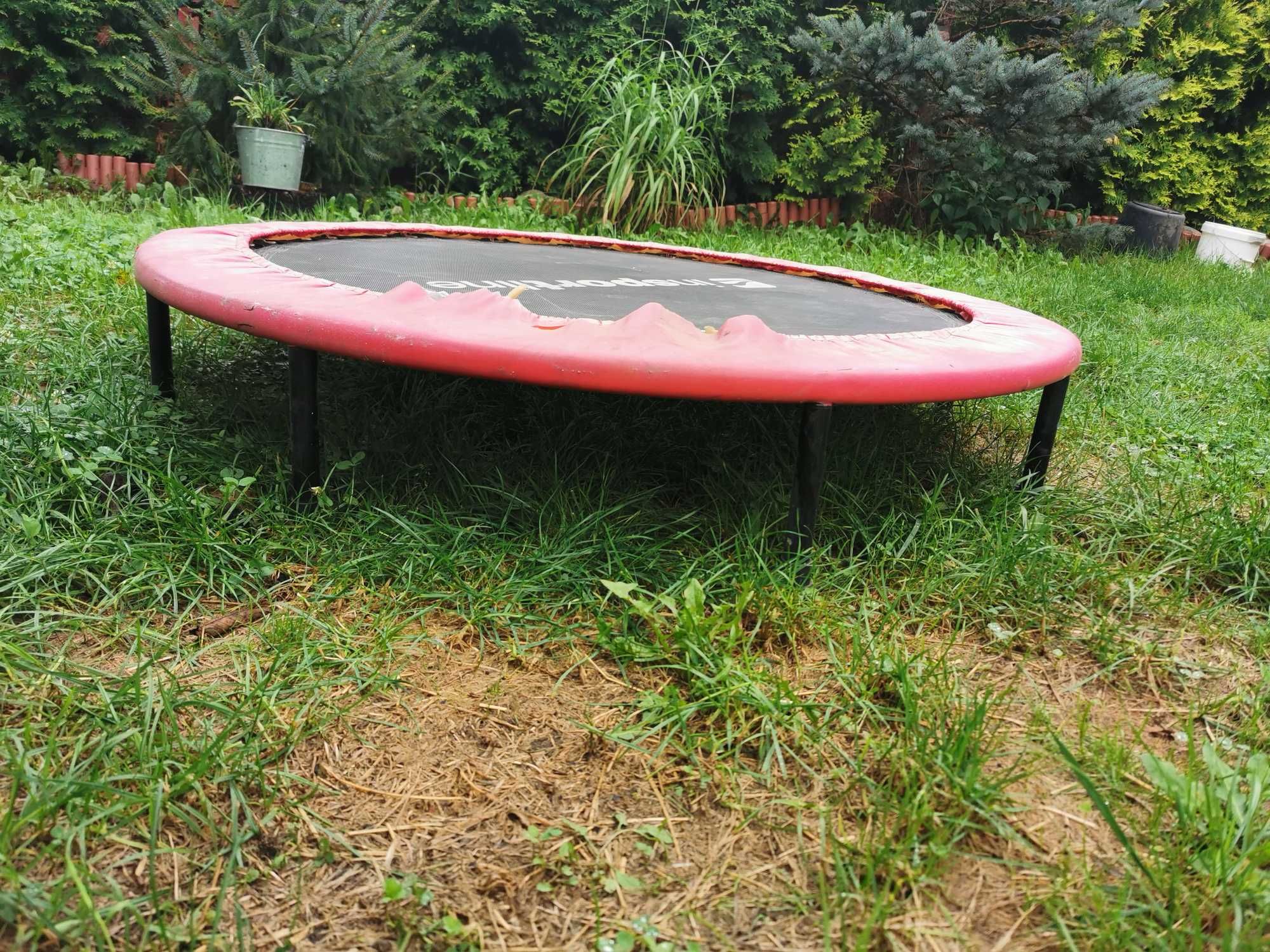Mini trampolina insportline