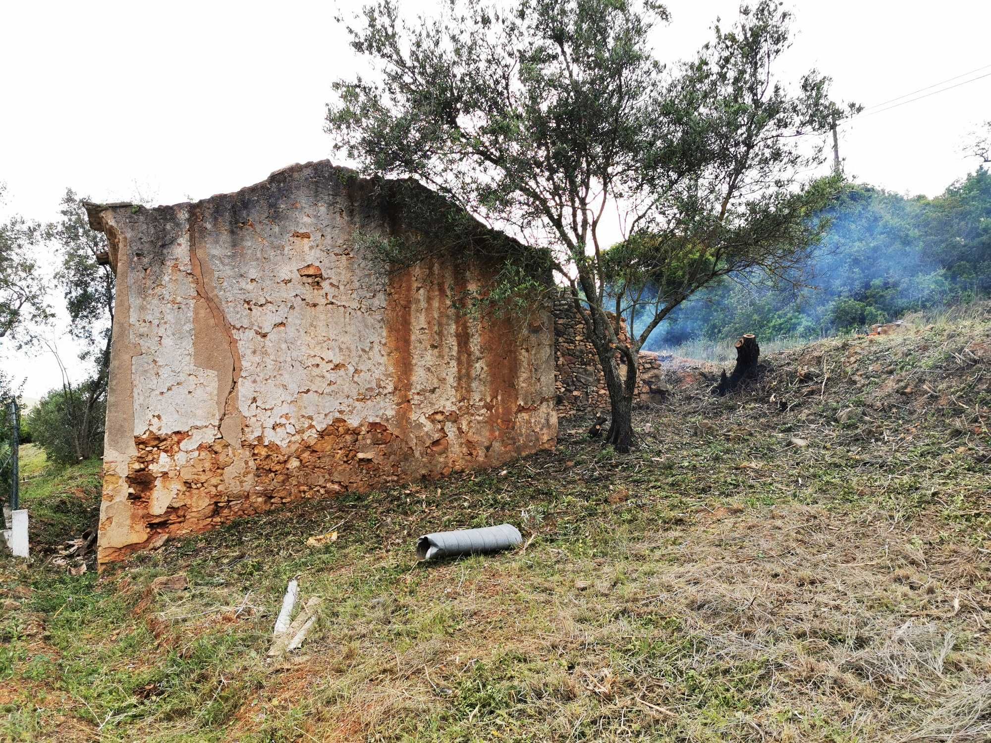 Limpeza de terrenos,desmatações /Landscape clearance,landscape changes