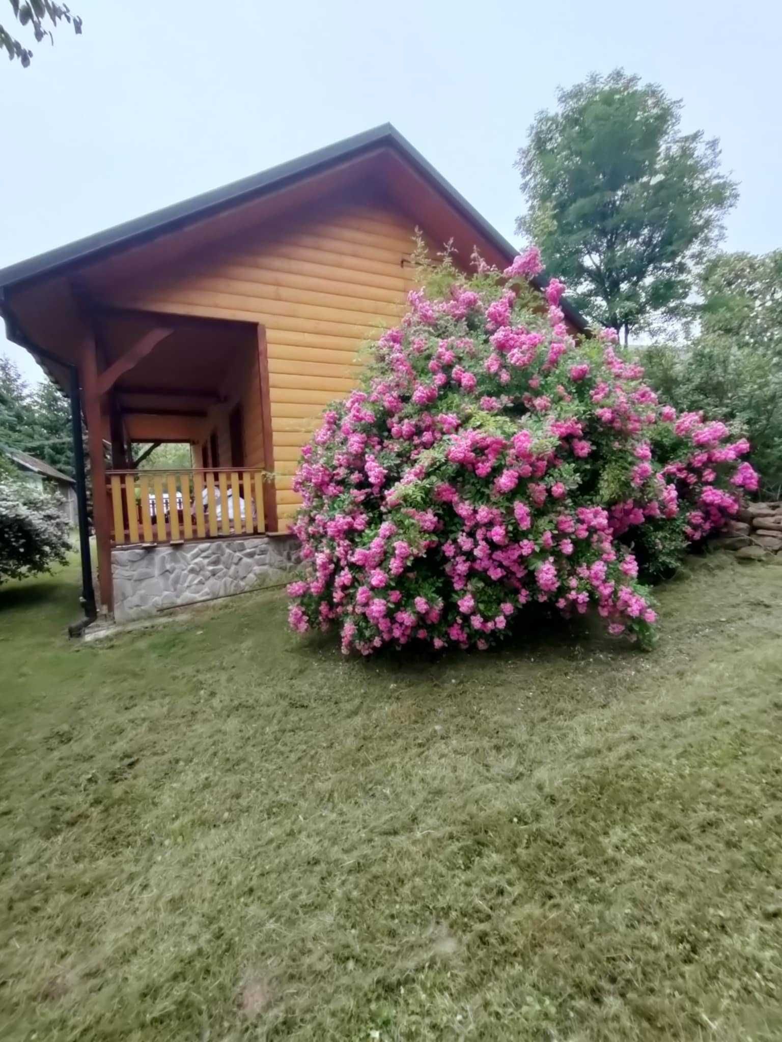 Nieruchomość na Podkarpaciu