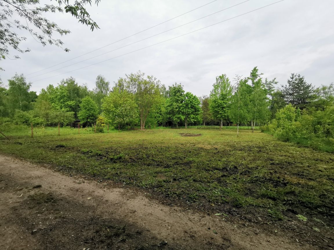 Porządkowanie działek, wycinka drzew, usuwanie karp, rębak