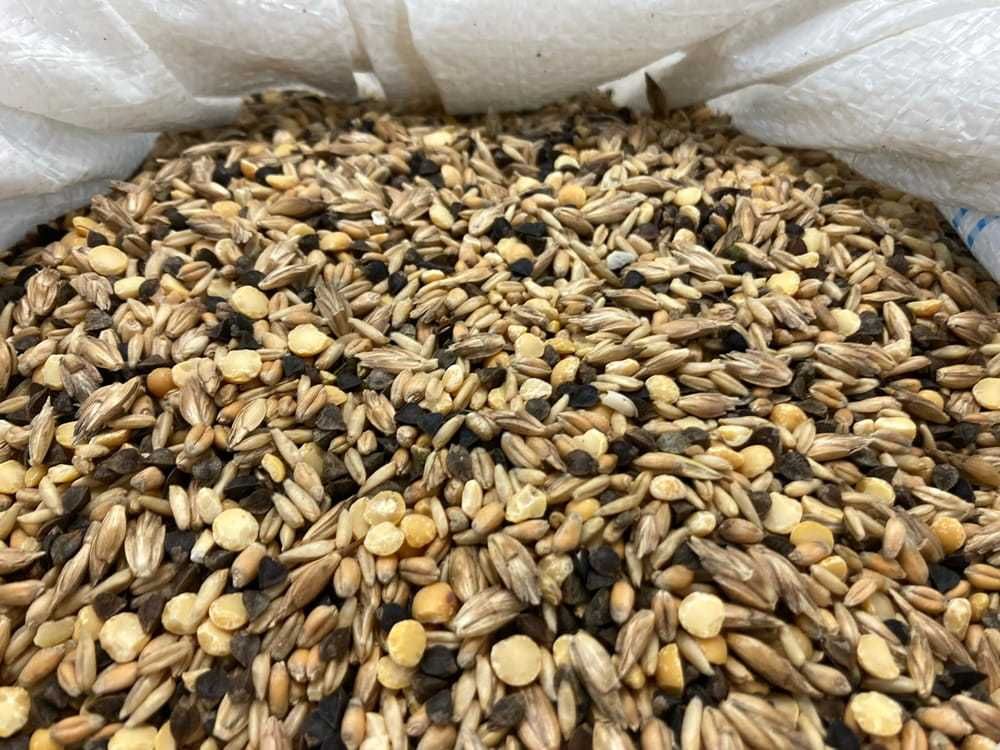 Mieszanka Zbożowa dla Kur z Orkiszem i Gryką 20 KG