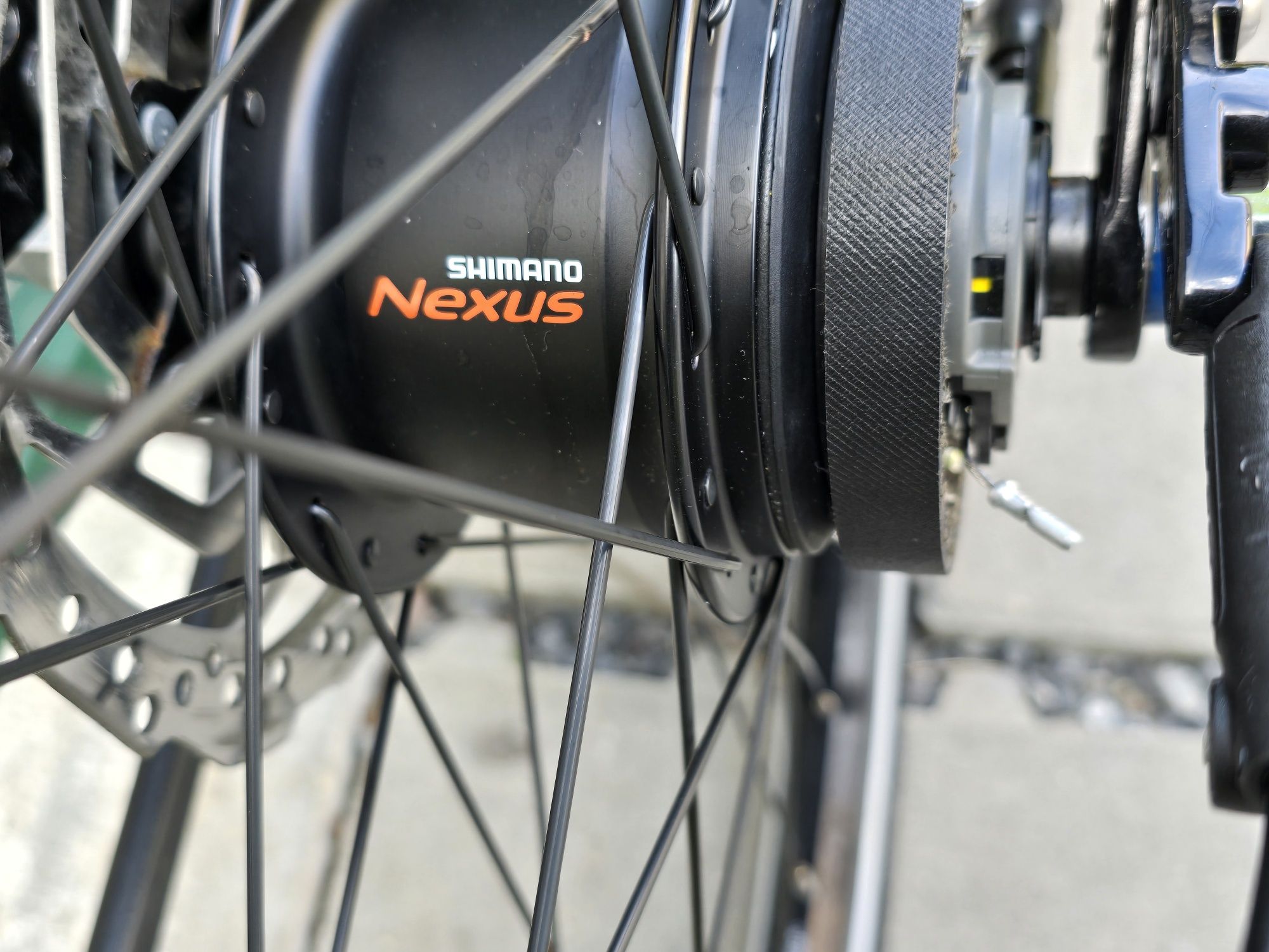 Diamant 247 Trekking na pasku Gates Carbon Drive