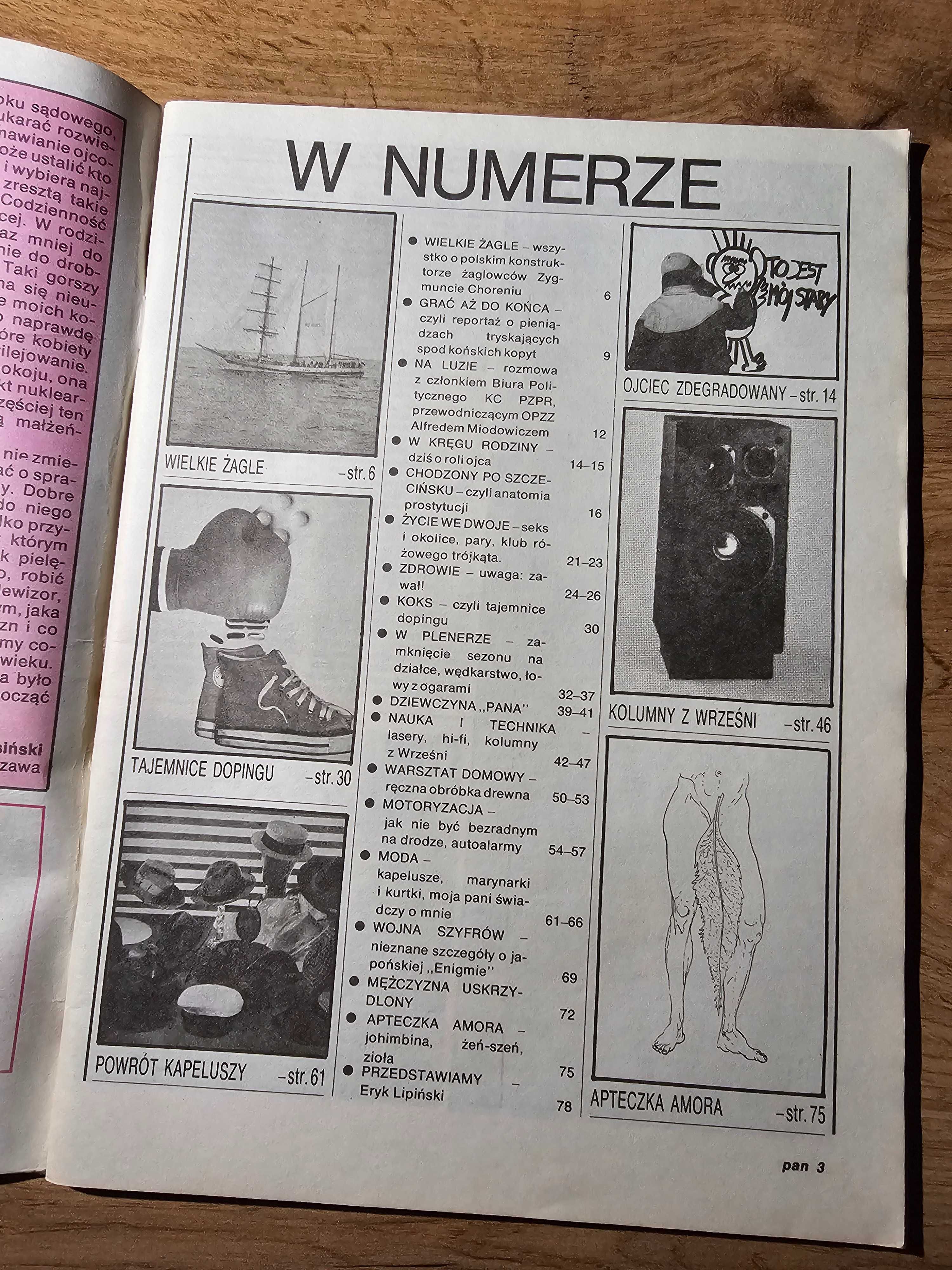 UNIKAT! Magazyn Poradniczo-Hobbistyczny PAN 2/1987 - polski Playboy