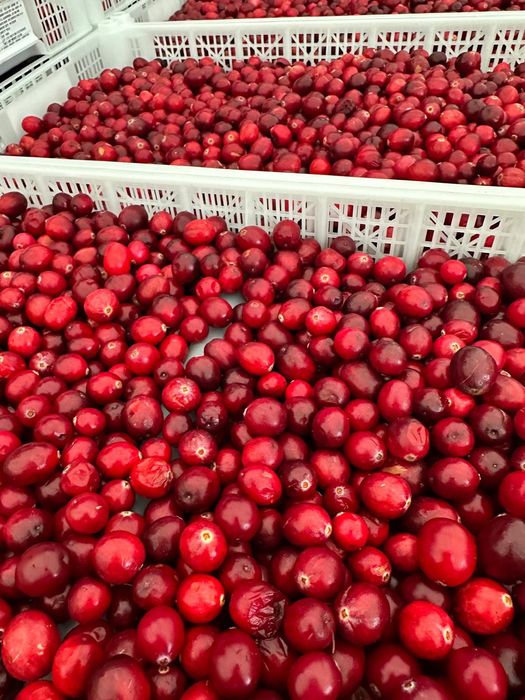 Sprzedam  żurawinę