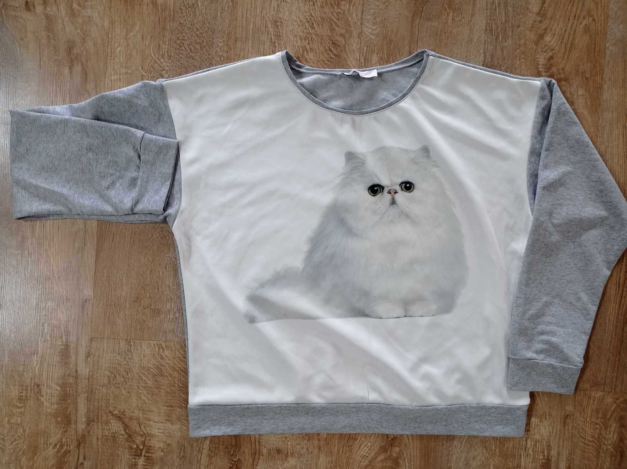 Szara bluza z kotkiem