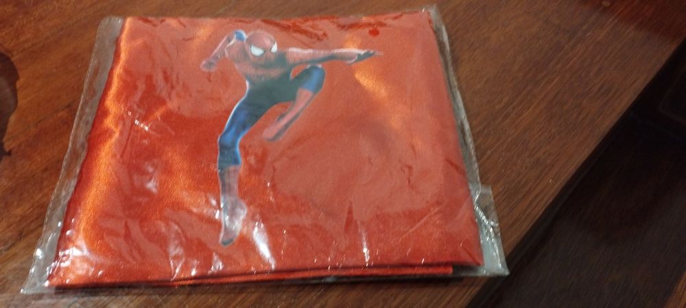 Fantasia de carnaval homem aranha