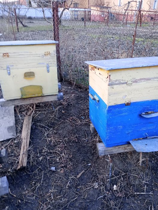 Продам вулики,пасіку