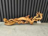 korzeń Bell Wood masywny 2011 do akwarium terrarium 61x16x16 NOWOŚĆ