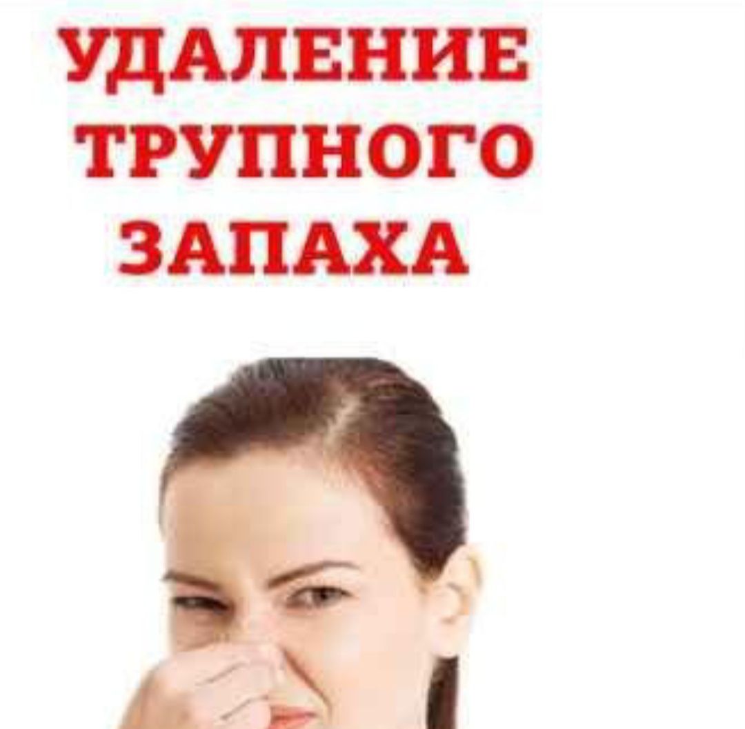 Убрать запах Удалить запах Мочи Сигарет Животных Сырости Трупный Дыма