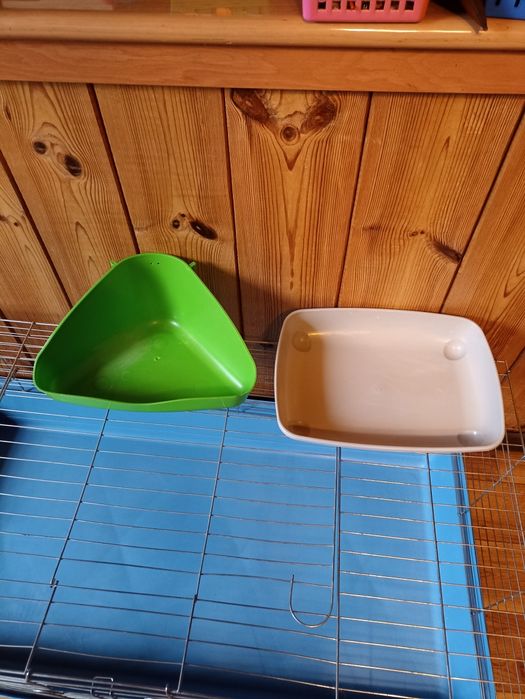 Zestaw dla świnek morskiej