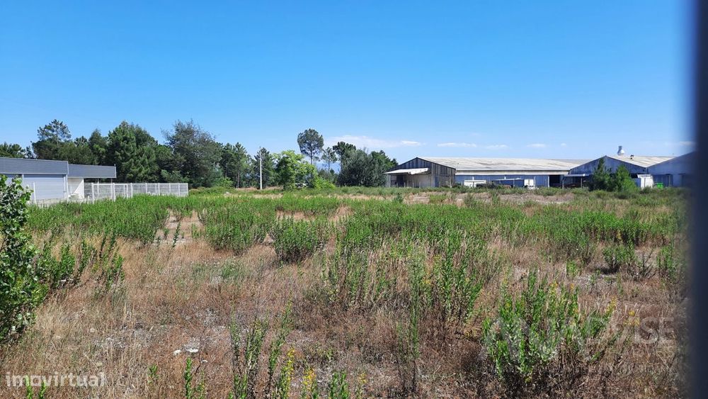 Lote de Terreno  Venda em Repeses e São Salvador,Viseu