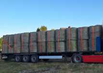 Siano, sianokiszonka, słoma – bele z transportem
