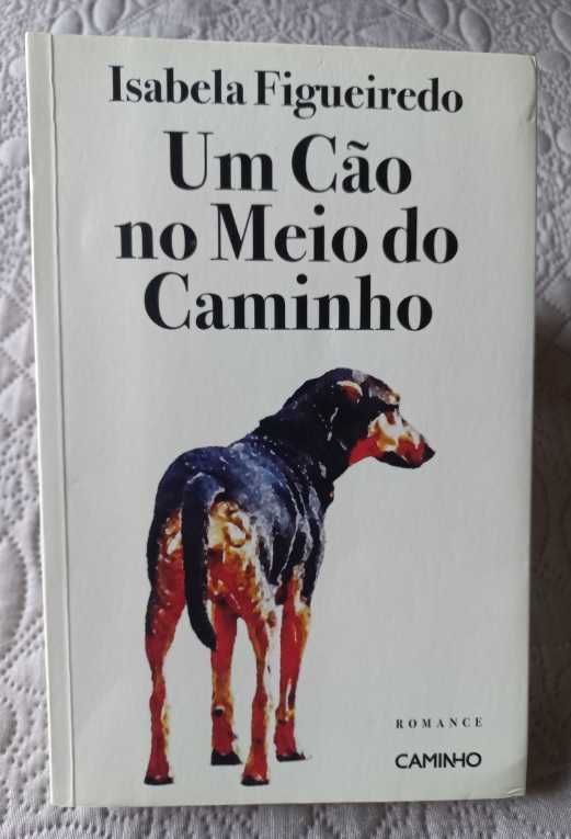 Um Cão no Meio do Caminho - Isabela Figueiredo