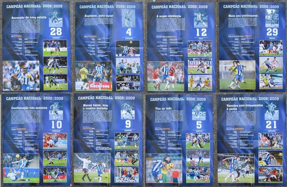 25 Posters FC Porto campeão nacional 2008/9