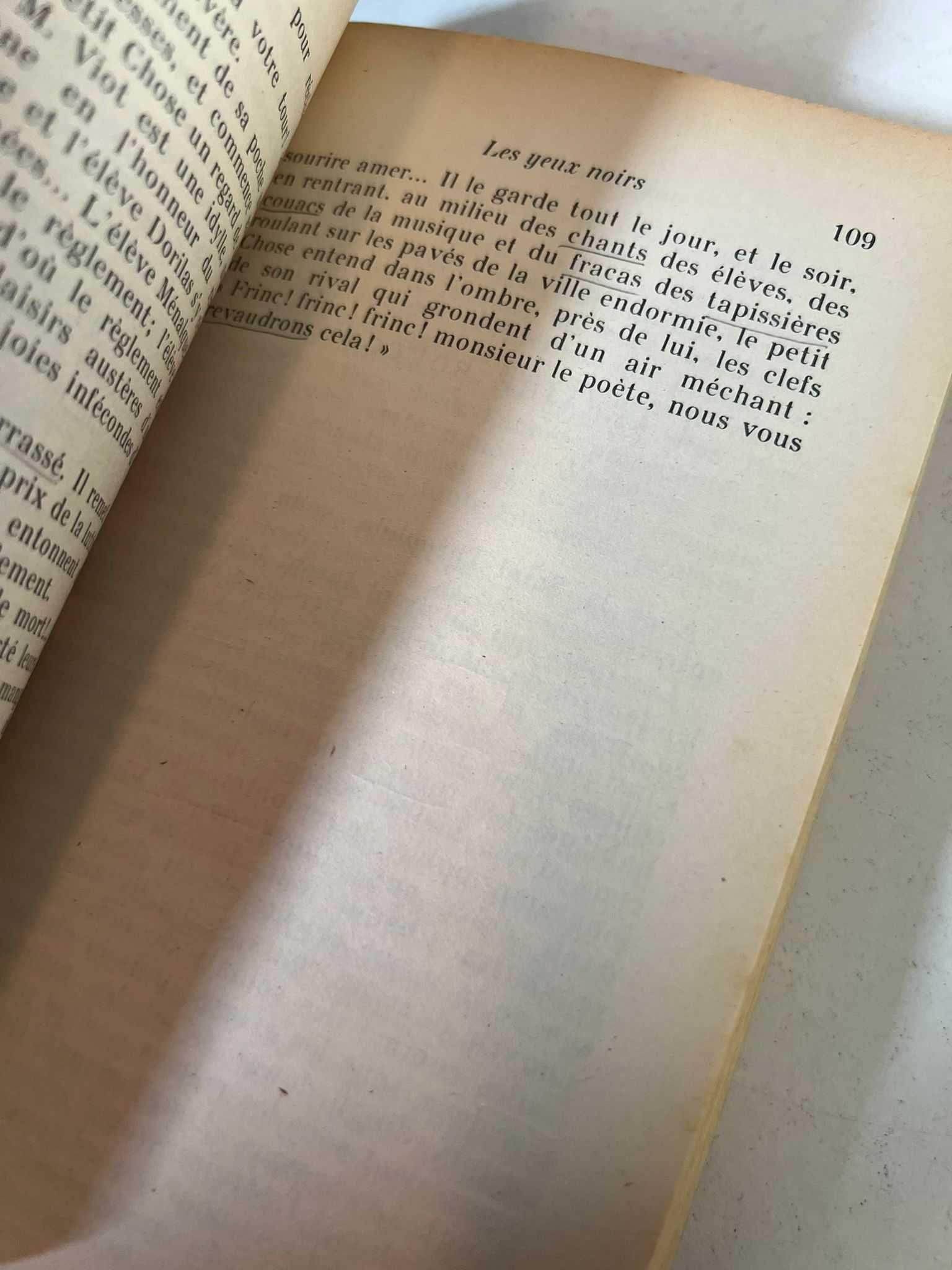 Livro - Le Petit Chose (ctt editorial grátis)