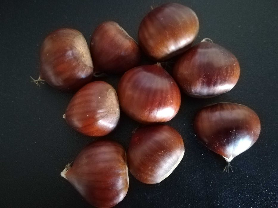 Castanhas transmontanas