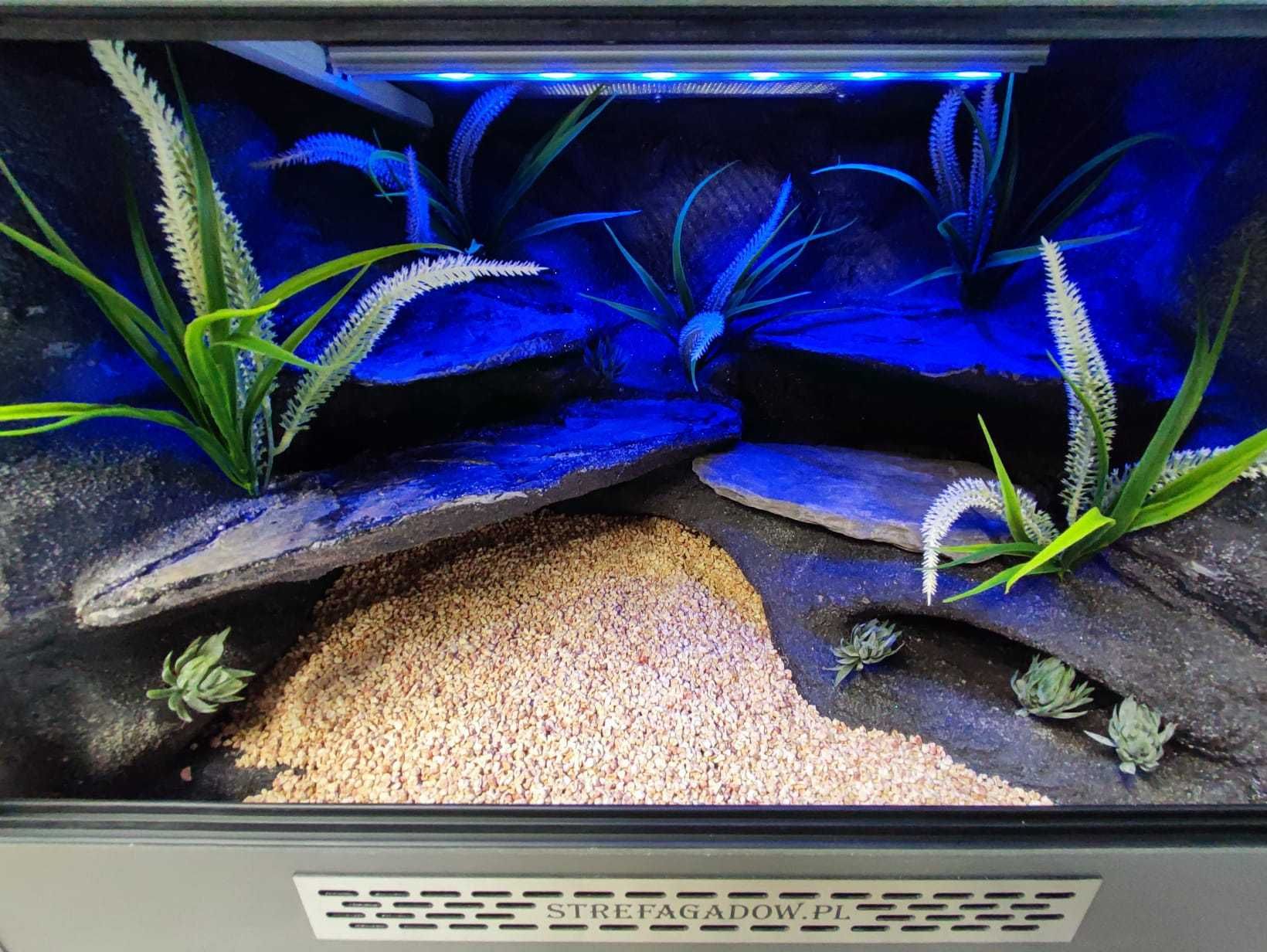 Terrarium pustynne nr657 60/40/40 dla gekona lamparciego NA ZAMÓWIENIE