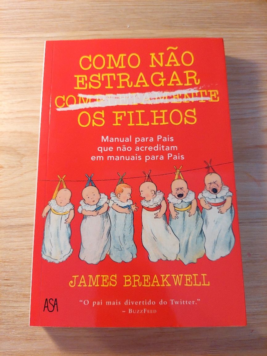 Livro- Como não estragar completamente os filhos