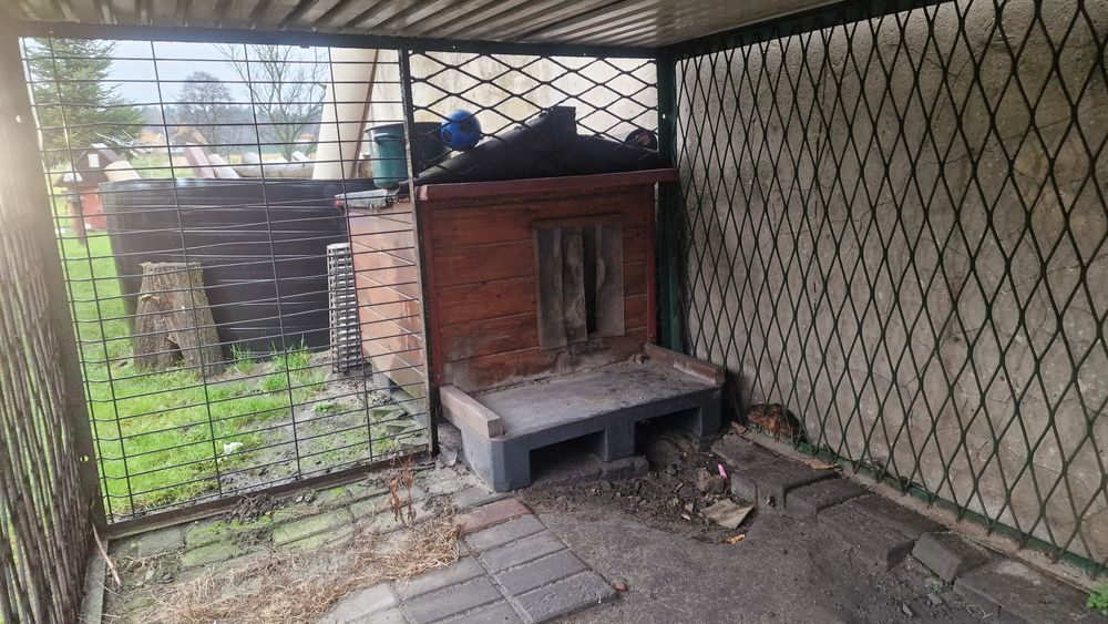 Wybieg dla psa z budą ocieplaną