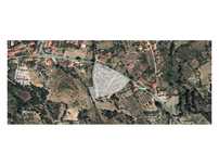 Terreno 26.000m2 | Castelo Branco
