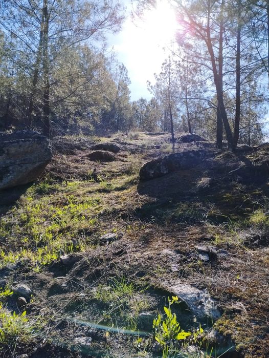 Quinta 5 ha – Figueiró da Granja / Fornos de Algodres