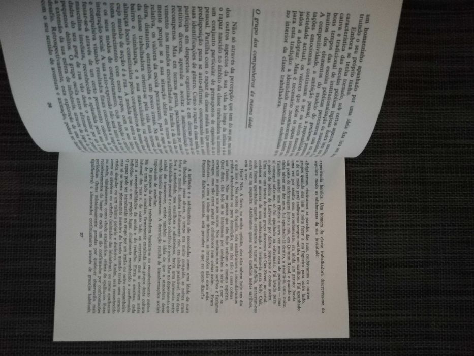 Os Limites da Masculinidade - Andrew Tolson (portes grátis)