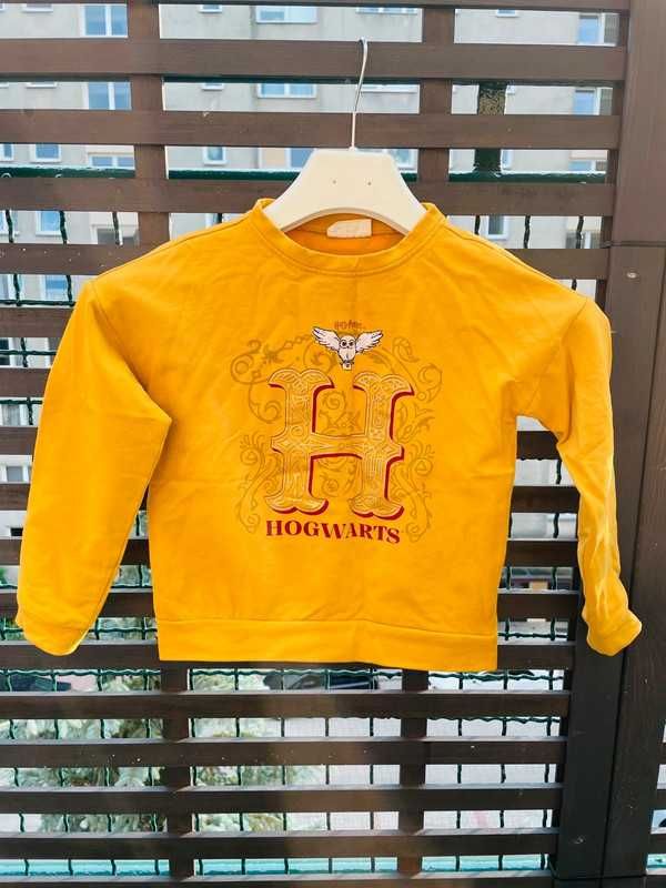 Bluza Harry Potter