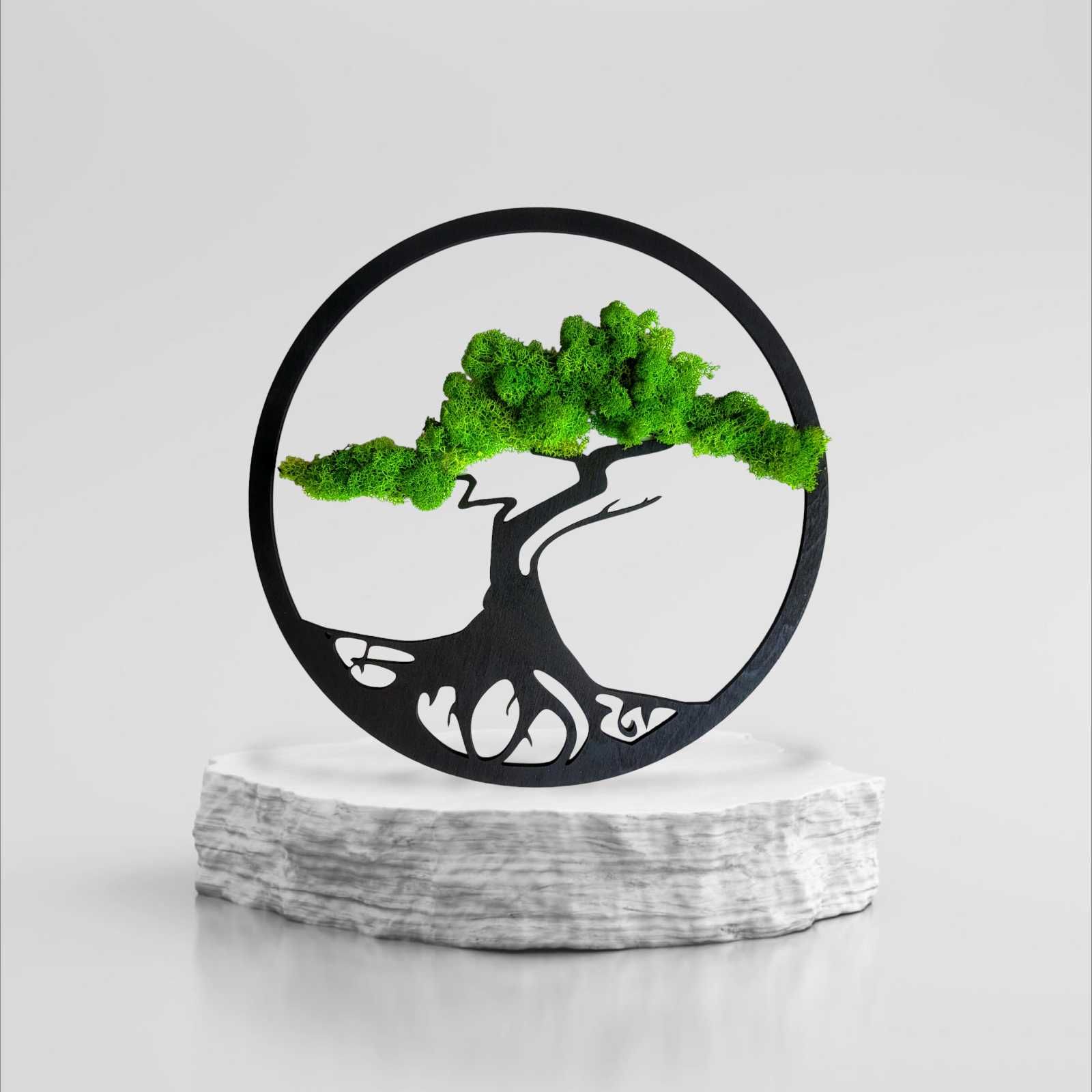 Obraz drzewo bonsai z mech chrobotek prezent na  ślub, rocznica 37x37