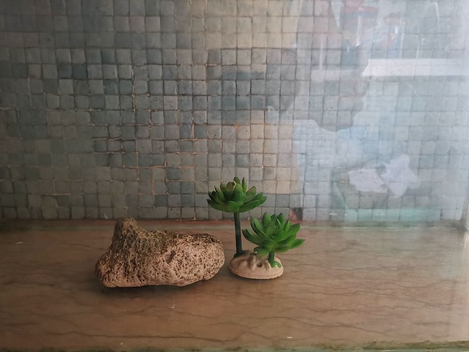 Aquário grande em vidro