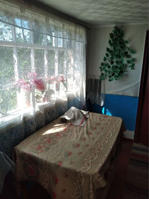 Будинок з садком та ділянкою