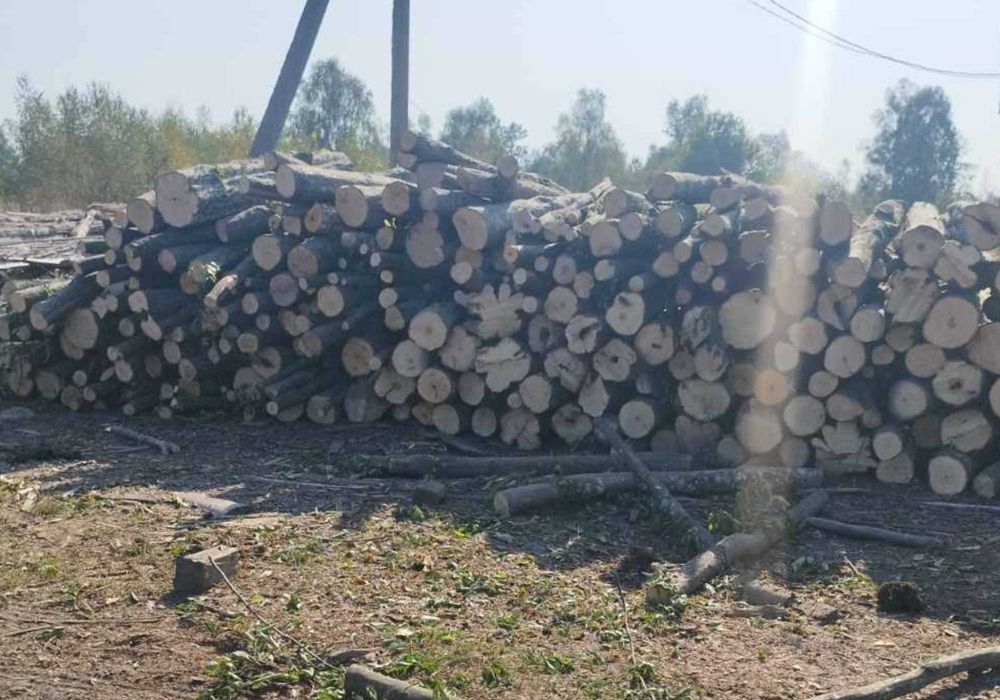 СУХІ дрова  • Для будинку Ясен рубаний дліна 36-40см середній покол