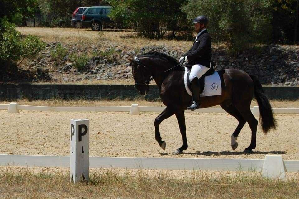 Trabalho de cavalos