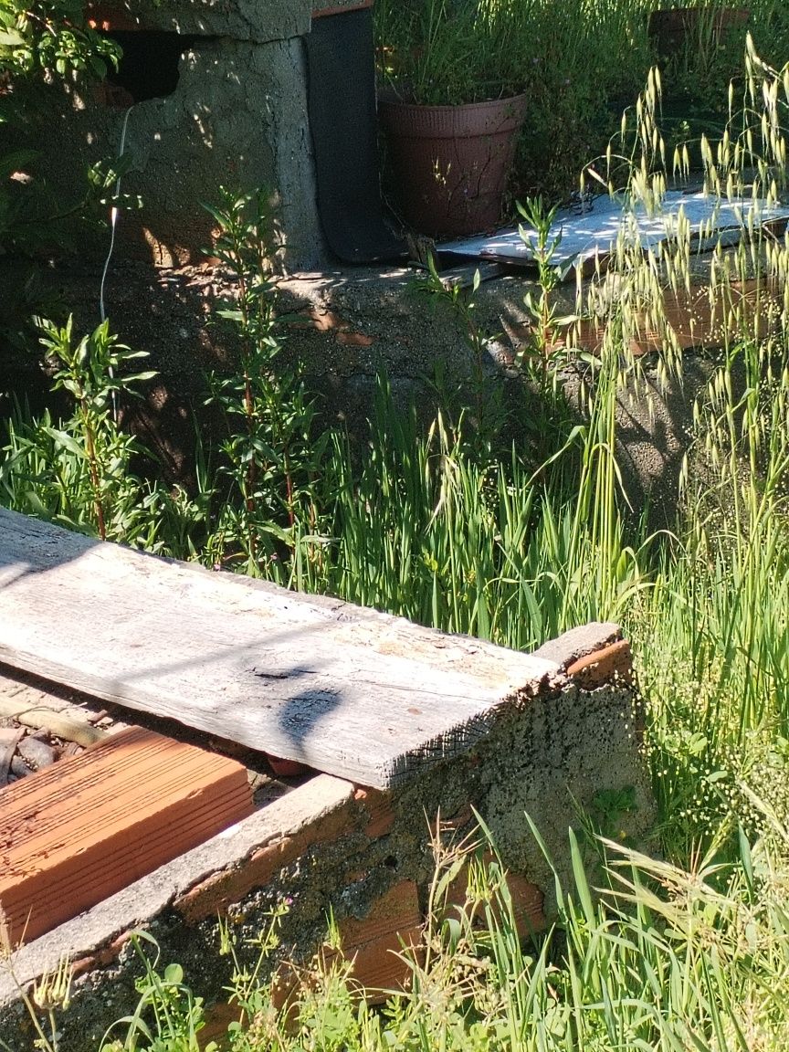 Terreno com viabilidade de construção e com construção antiga