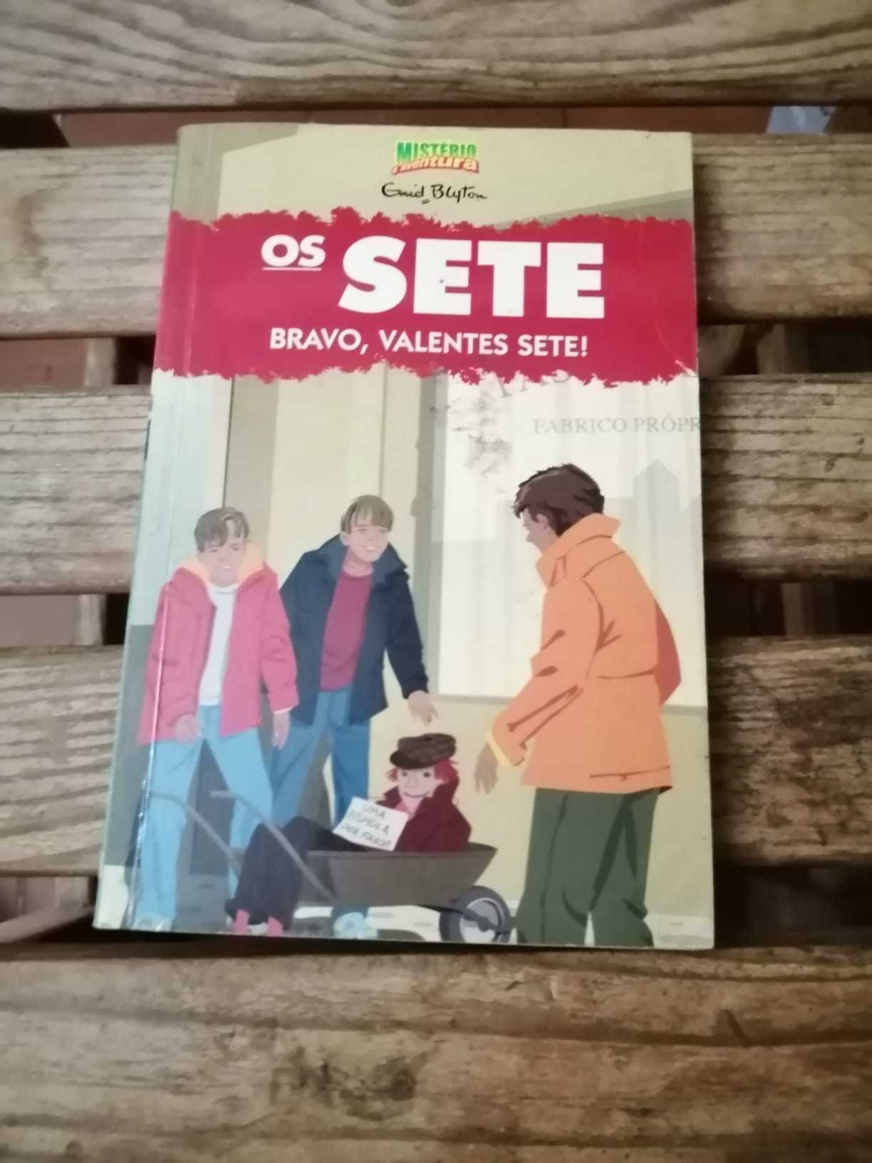 livro os sete bravo os sete