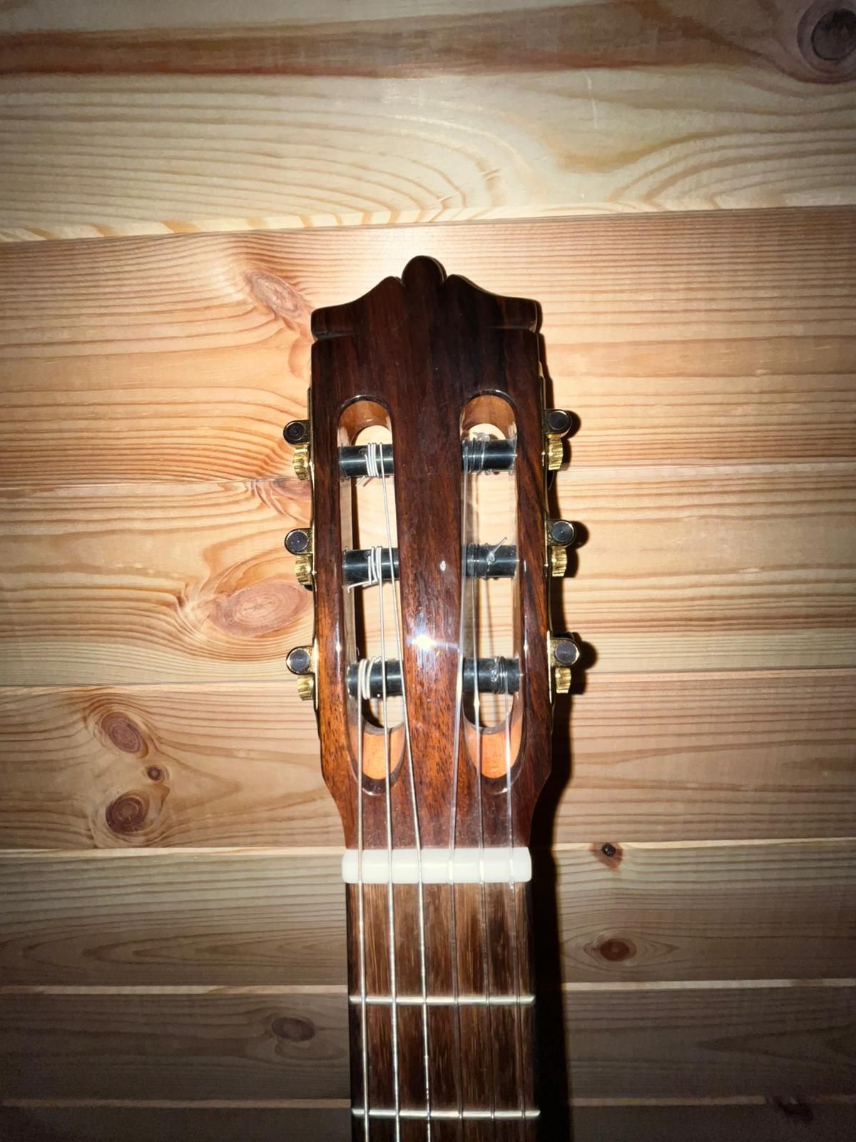 Gitara Martinez 1/2 plus pokrowiec podburzek