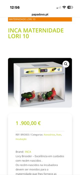 Maternidade inca lori 10