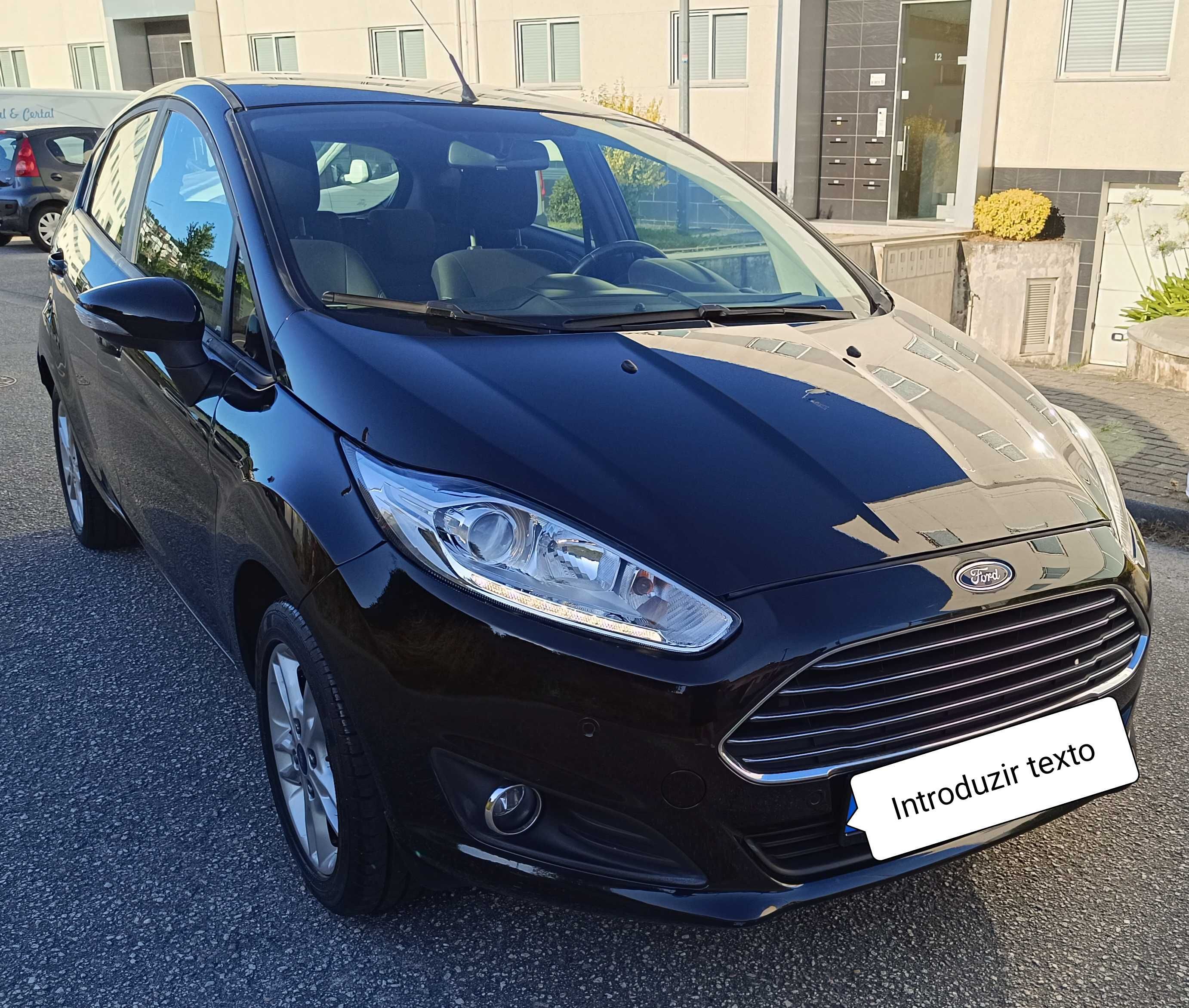 FORD fiesta ecobust