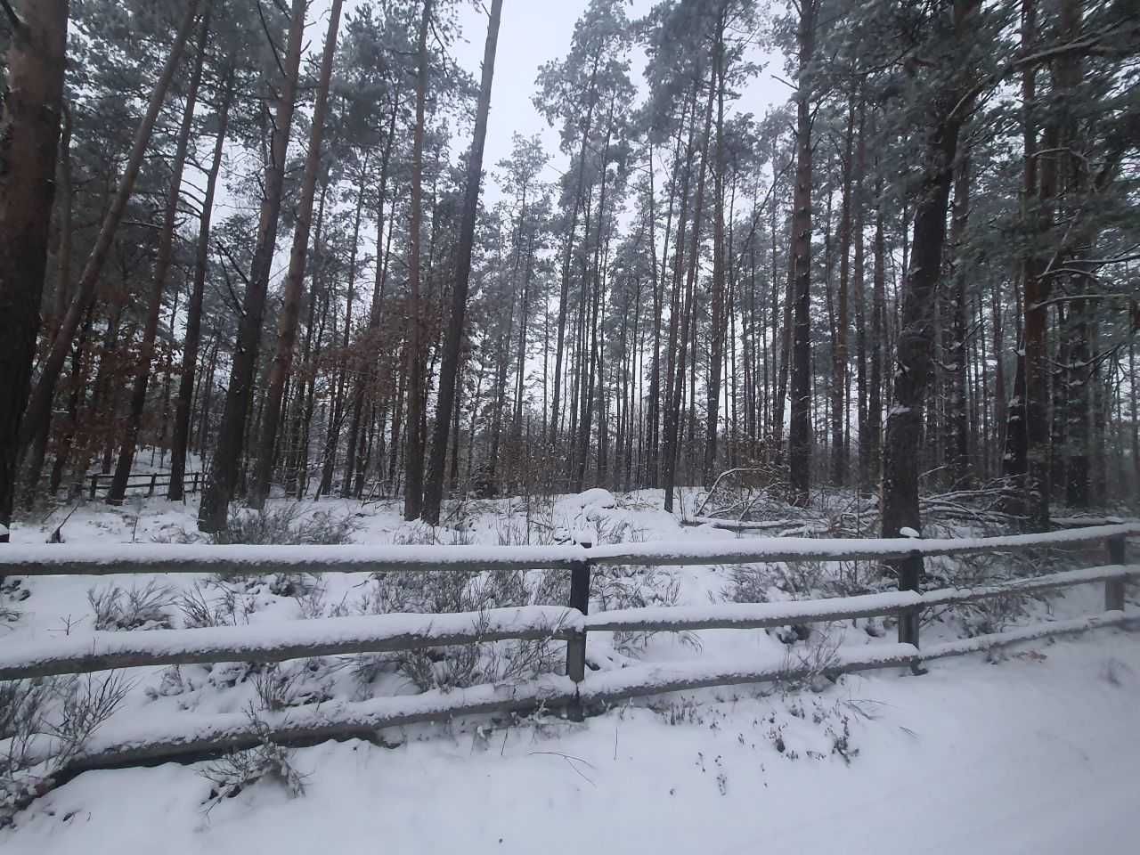 Borek Kamienny działka 3270 m2 nad jeziorem Gowidlino