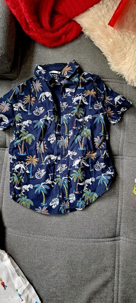 Koszula z krotkim rekawem w dinozaury i palmy 110