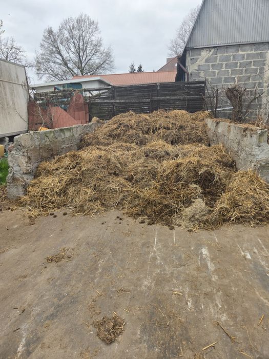 Obornik koński zamienię