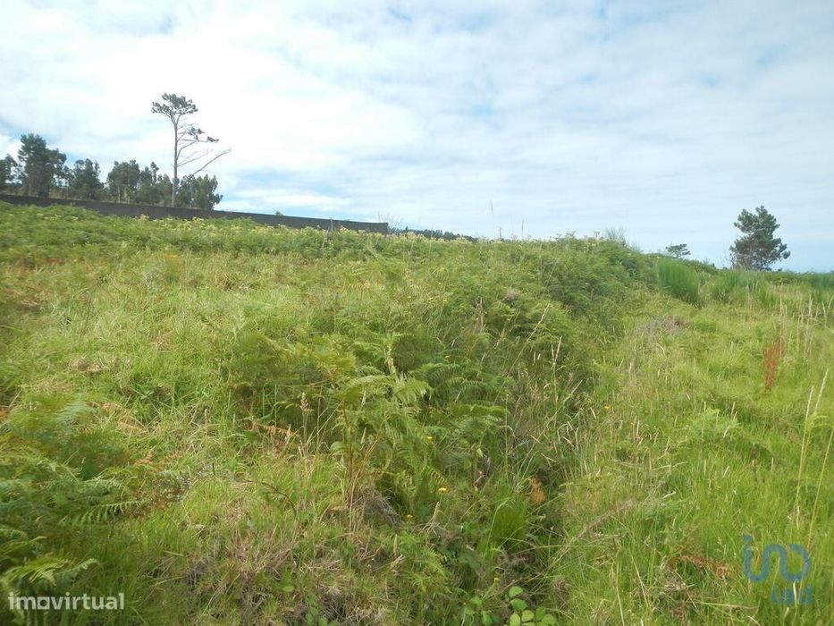 Terreno para construção em Ponta do Pargo de 1452,00 m2
