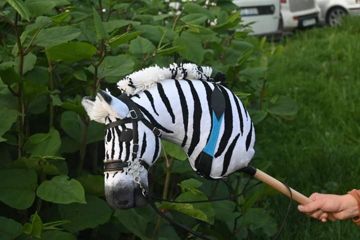 Hobby horse zebra