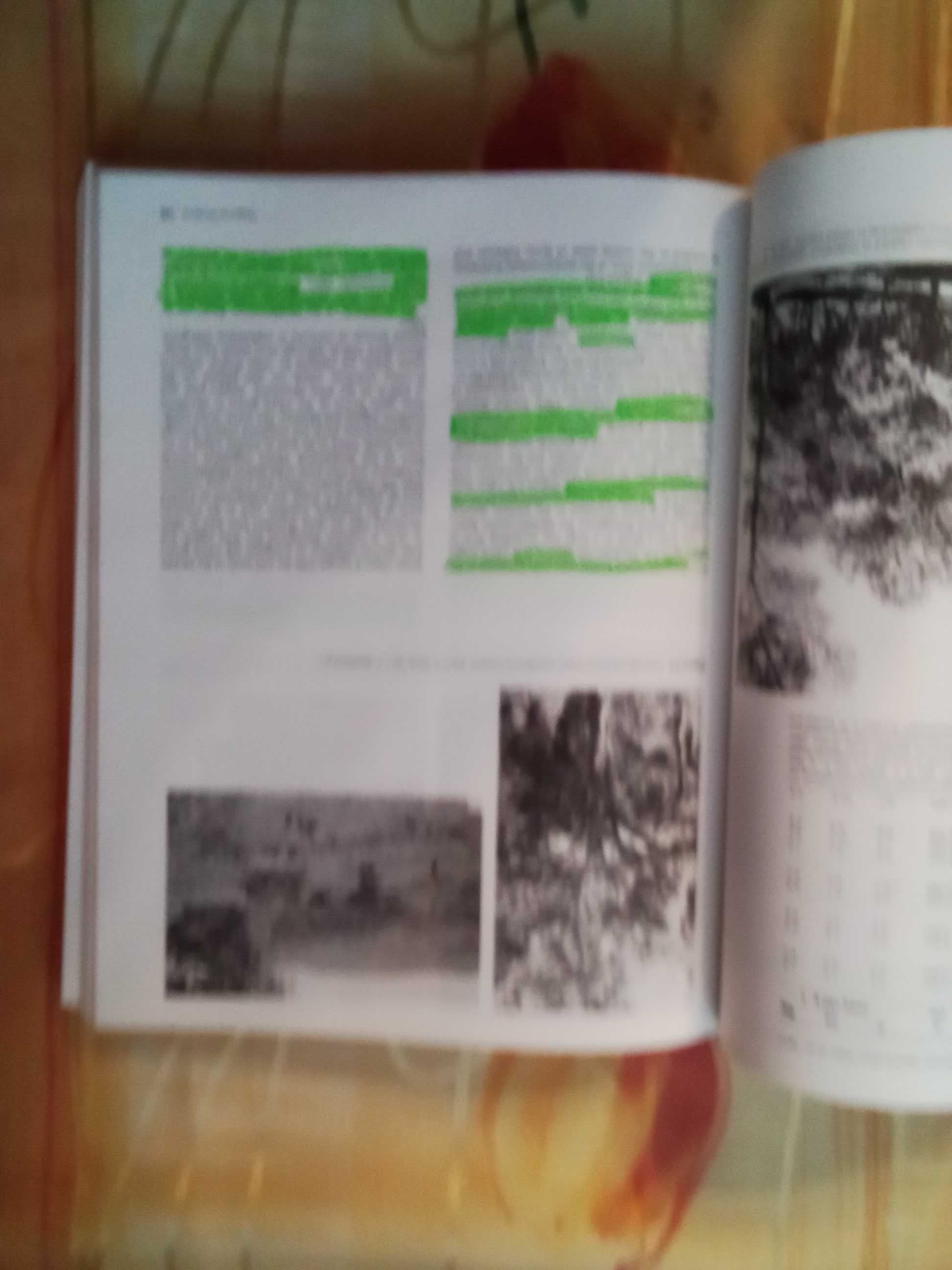 Ekologia roślin podręcznik w języku angielskim