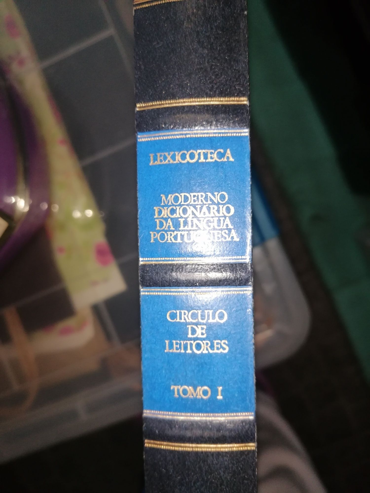 Dicionários grandes e Livro Os Lusíadas