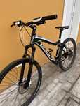 bicicleta petra e branca