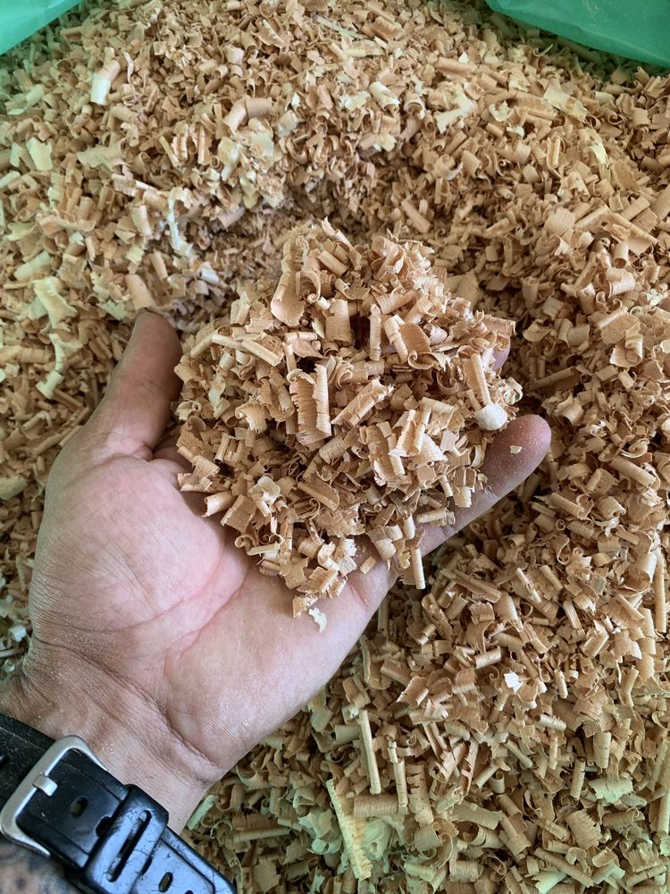 Aparas de Madeira 100% Limpa